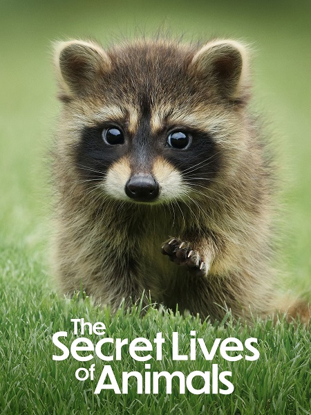 مسلسل The Secret Lives of Animals الموسم الاول الحلقة 5 مترجمة